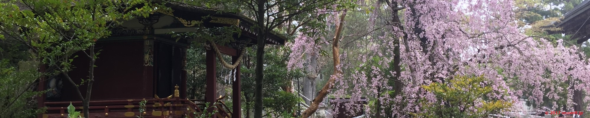 筑波山神社